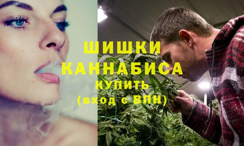 Бошки марихуана THC 21%  Гатчина 